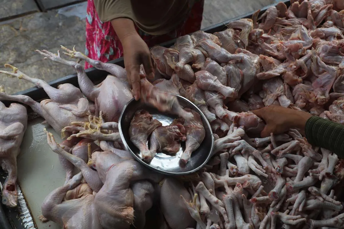 Harga Pangan Terkini di Papua, Jumat (15/11): Harga Ayam, Bawang, dan Cabai Naik