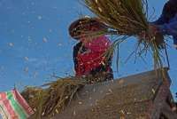 Himbara Siapkan Struktur Salurkan KUR Perumahan Rp 130 Triliun