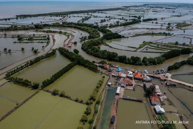 KKP Resmi Revitalisasi Tambak di Pantura, Tahap Pertama 20.000 Hektare