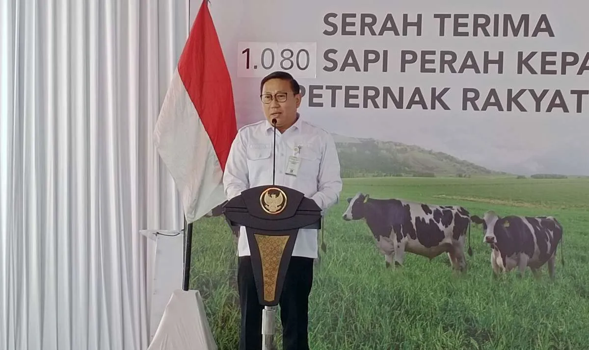 KUR Khusus Peternakan Dinilai Lebih Ideal Gunakan APBN