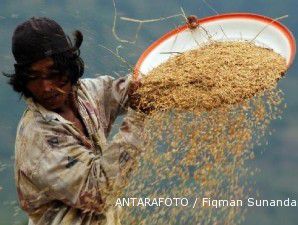 Ironis, Indonesia impor beras untuk konsumsi, tapi izinkan ekspor beras premium