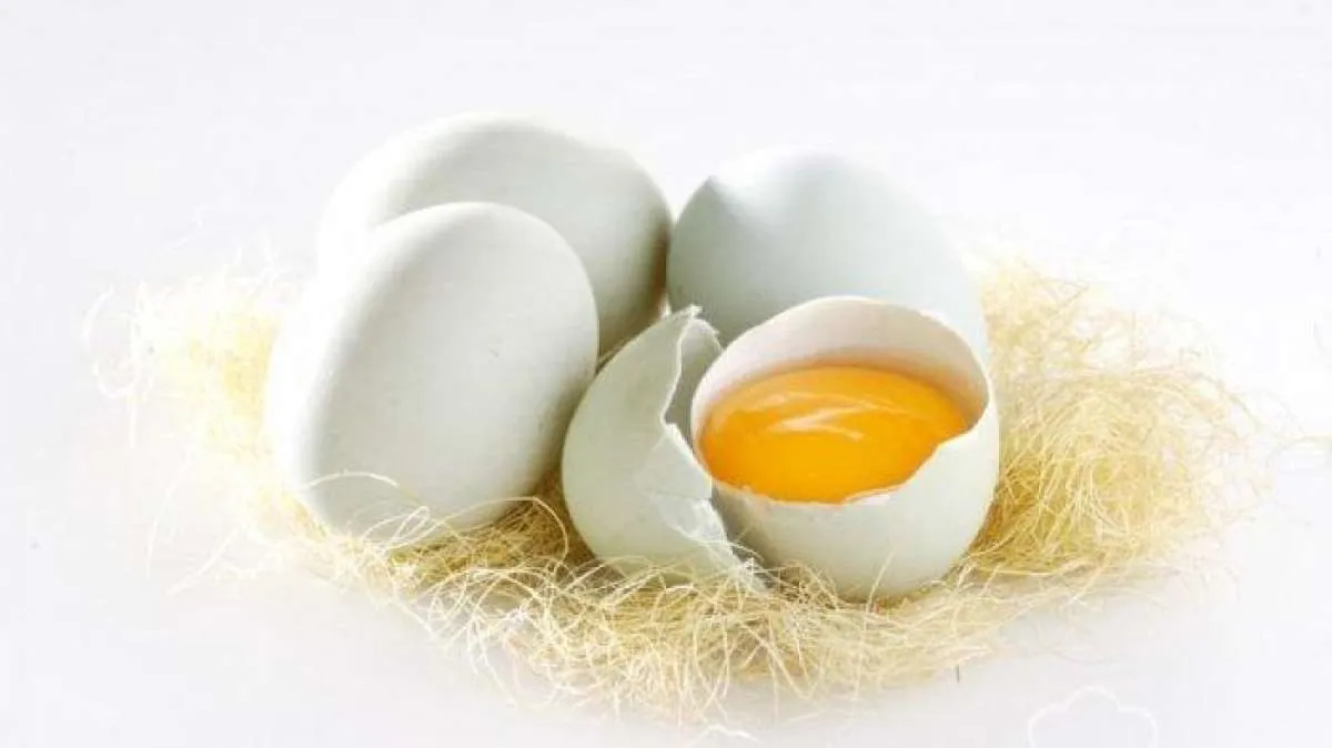 4 Manfaat Telur Bebek untuk Kesehatan yang Luar Biasa, Cek Juga Nutrisinya 