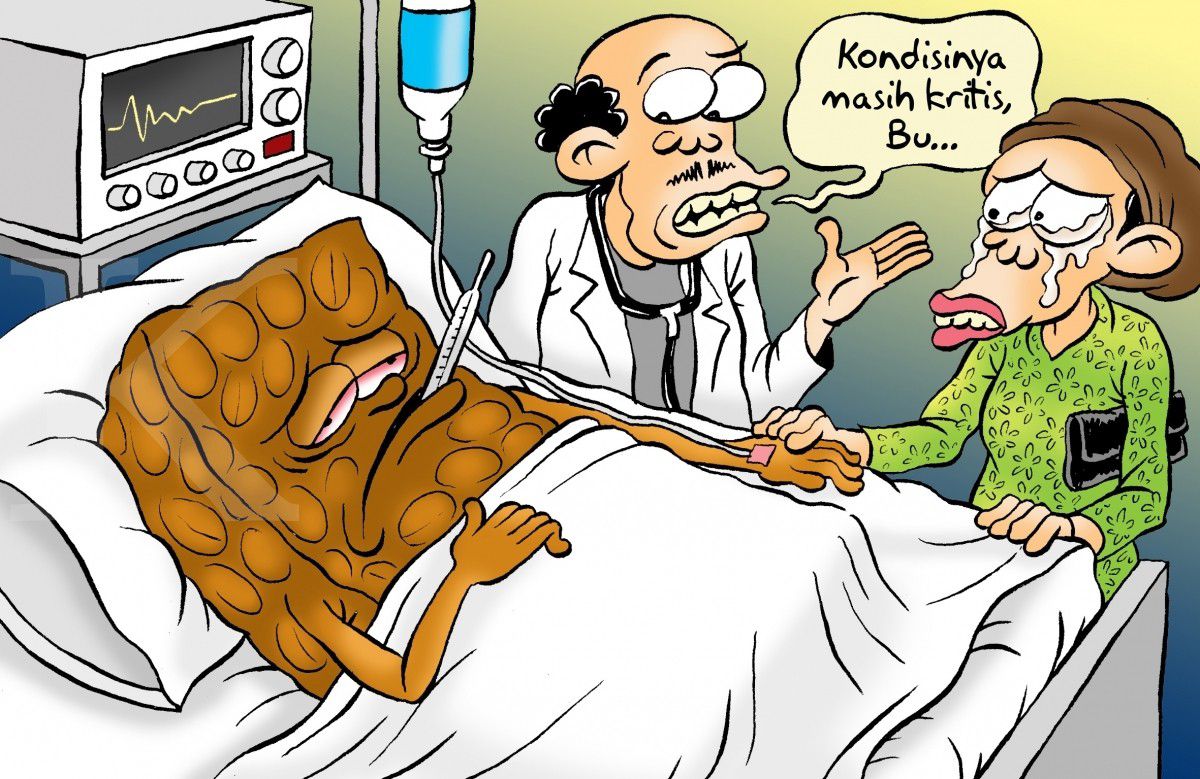 Krisis Tempe dan Tahu