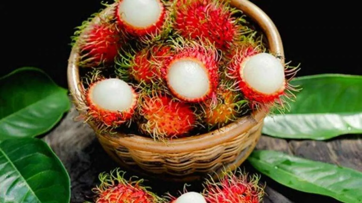 Sederet Manfaat Buah Rambutan untuk Kesehatan Tubuh, Bisa Menurunkan Diabetes