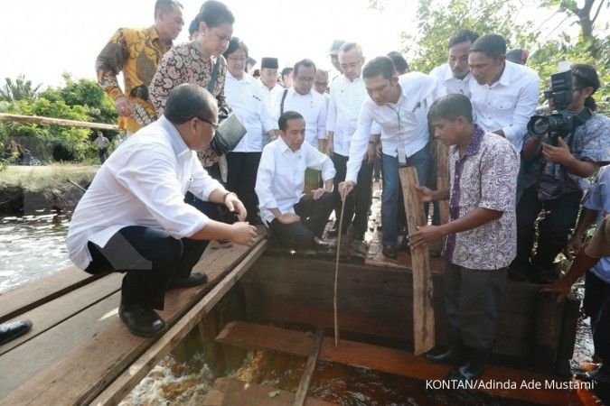 Jokowi tinjau pencegahan kebakaran gambut Riau