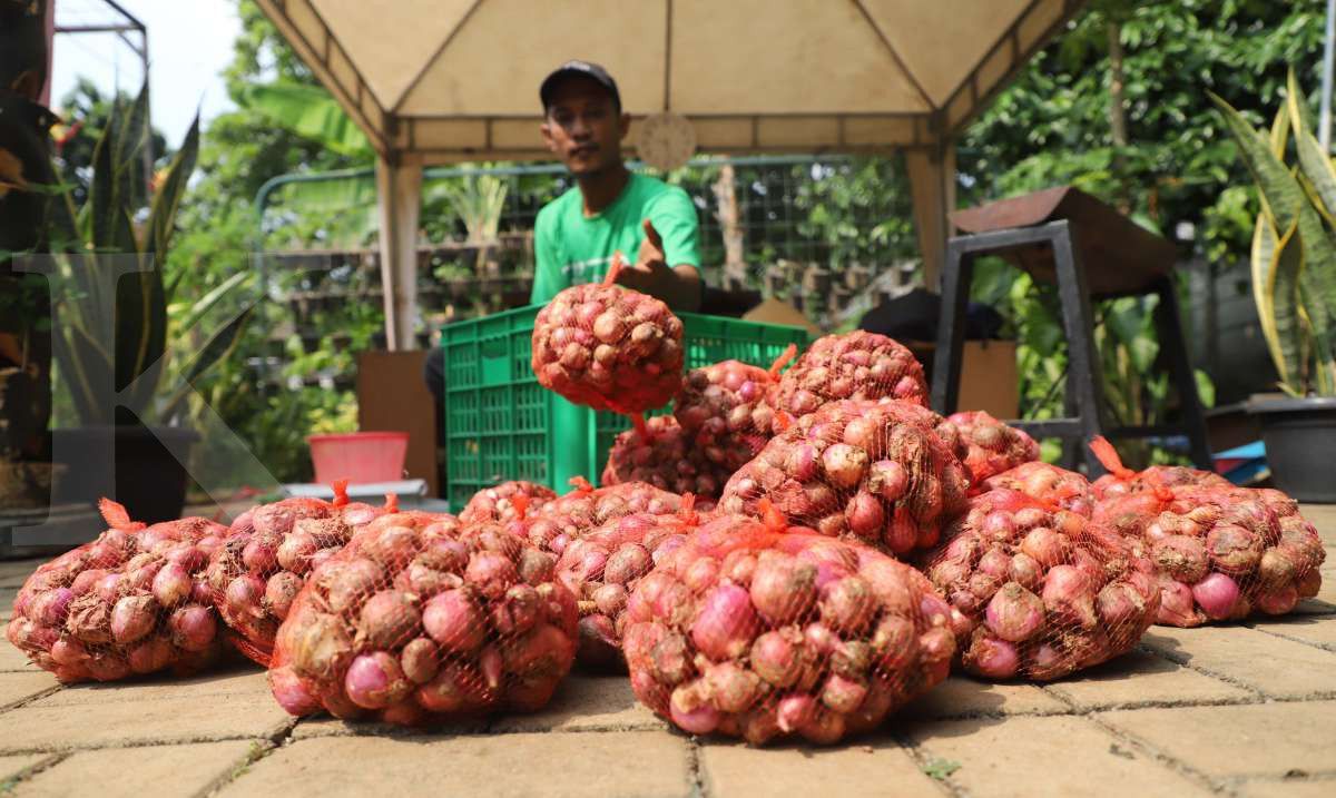 Kemasan bawang merah