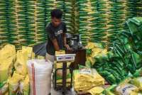 Ironi! Stok Beras Diklaim Melimpah, Tapi Harga Di Pasar Terus Bertambah