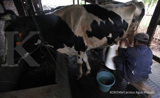 Kemtan: Perlu ada regulasi khusus yang mengatur kemitraan industri pengolahan susu