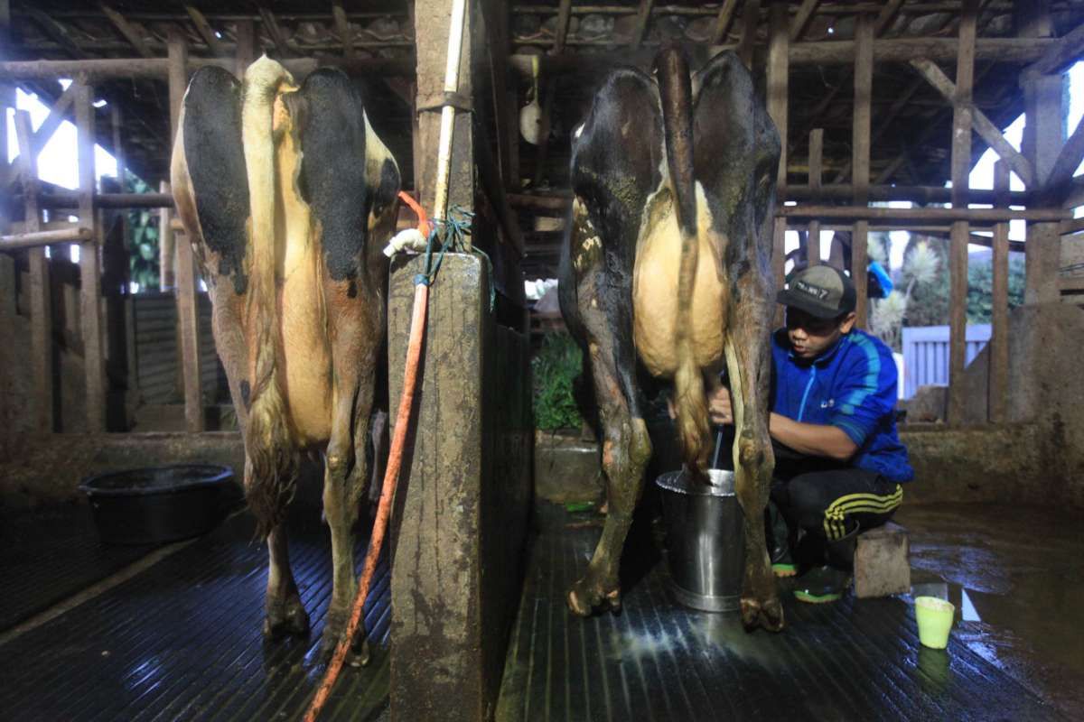 Menanti Formula Tepat Aturan Pengembangan Koperasi