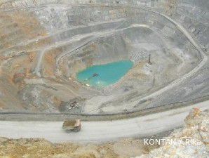 Pembelian saham Newmont kewenangan menteri keuangan