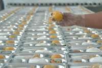 Hari Bhayangkara, Prabowo Luncurkan SPPG Polri untuk Mendukung Makan Bergizi Gratis