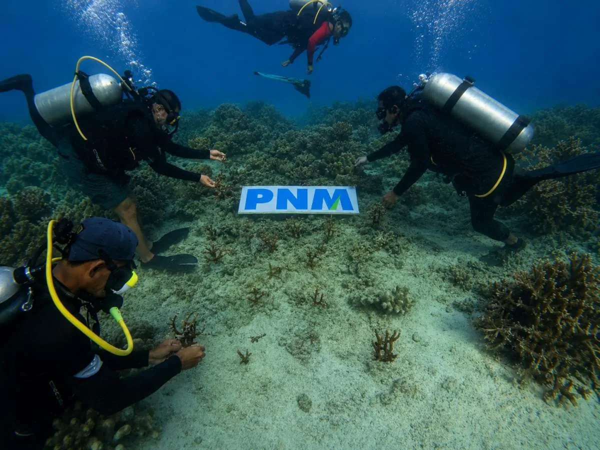 Upaya PNM Hadirkan Masa Depan Anak-Anak Lewat Pelestarian Laut