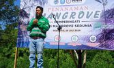 Penanaman Mangrove Tahap 2, Wujud Komitmen ESG NHM untuk Lingkungan dan Masyarakat