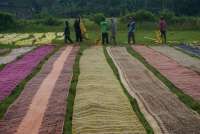 Prakiraan Cuaca BMKG: 9 Kota di Jawa Tengah Potensi Hujan Termasuk Barlingmascakeb