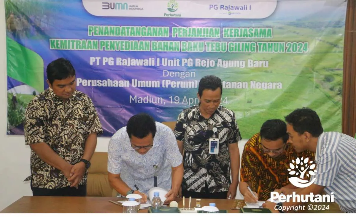 Dukung Swasembada Gula, Perhutani Gandeng PG Rajawali I Penuhi Bahan Baku Tebu Giling