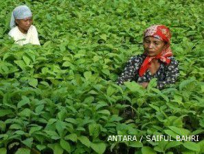 Atasi degradasi hutan, pemerintah tanam 10 ribu unit kebun benih rakyat