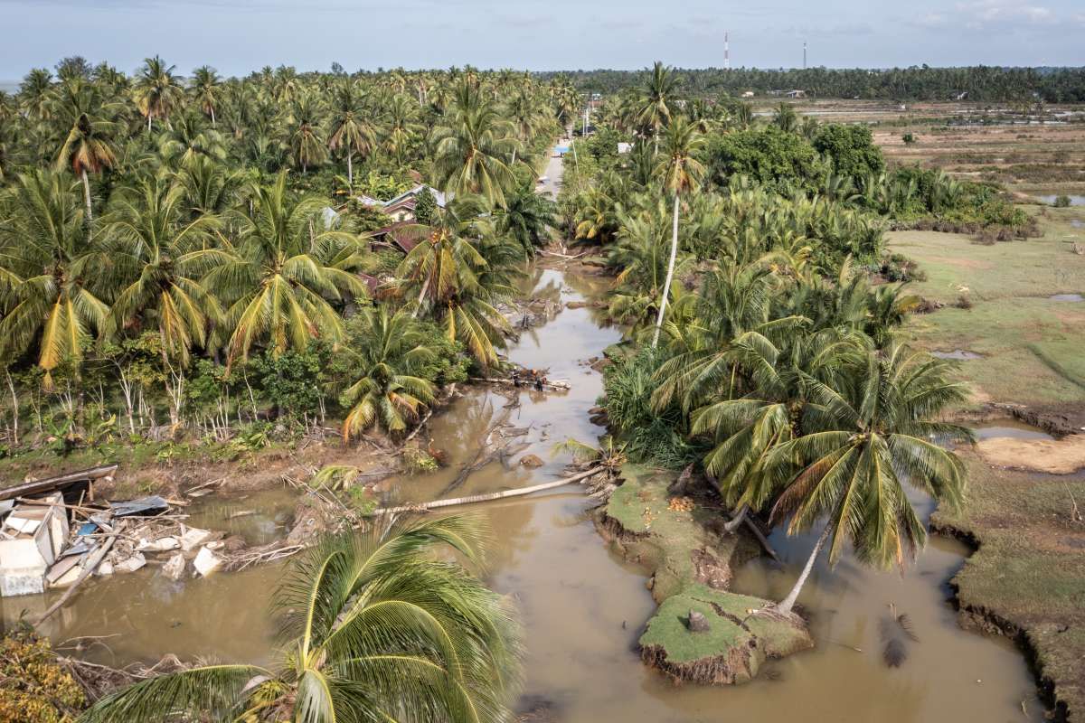 Lahan Pertanian 40.000 Hektare Terdampak Bencana