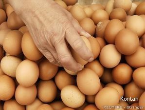 Permintaan Naik, Harga Ayam Potong dan Telur Melonjak