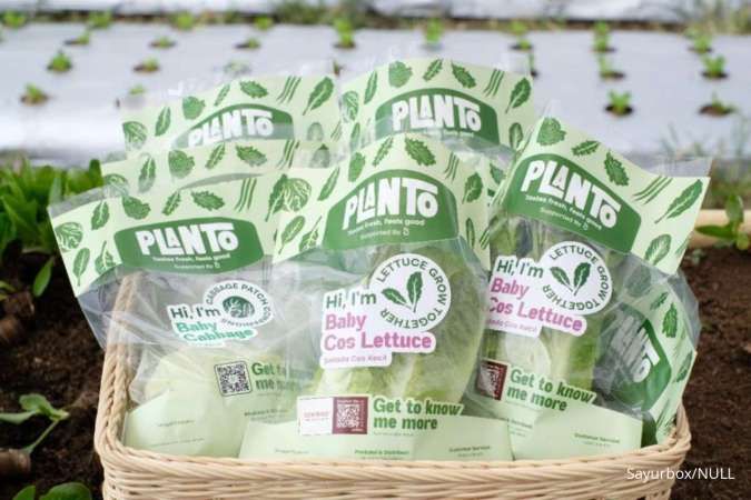 Menelusuri Jejak Sayuran Premium Sayurbox, Planto 