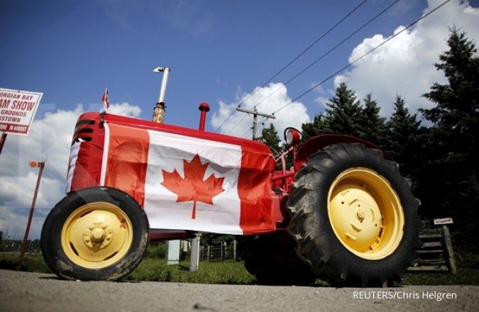 Kanada berencana persoalkan impor kayu AS ke WTO