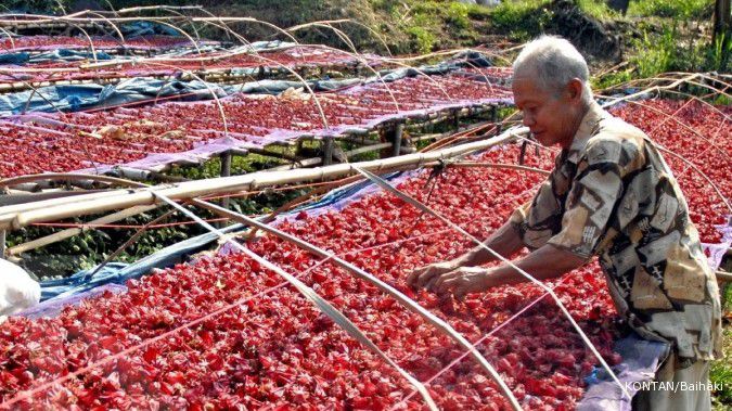 Manfaat Rosella Merah