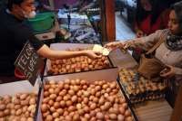 Teliti saat Membeli, Ini Cara Mudah Memilih Telur yang Berkualitas Tidak Busuk 