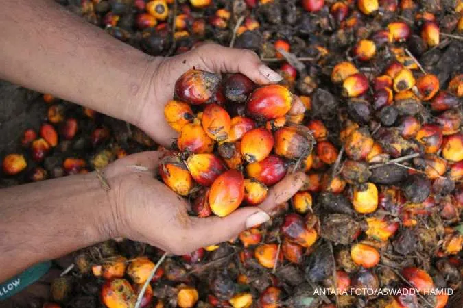 Indonesia's 2024 Palm Oil Exports Down 8.3%