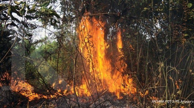Menhut: Titik api di Riau sudah berkurang
