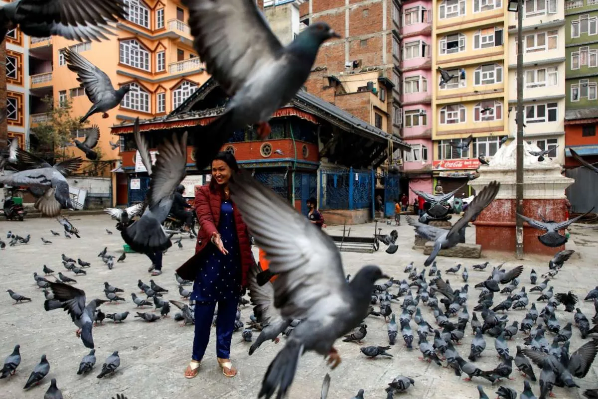 Pertama dalam 32 bulan, Korsel laporkan kasus flu burung yang sangat mematikan 