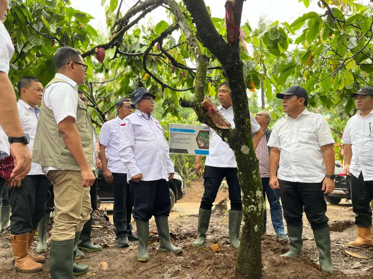 PMO Kopi dan Kakao Nusantara Hadirkan Center of Excellence Kakao di Banyuwangi