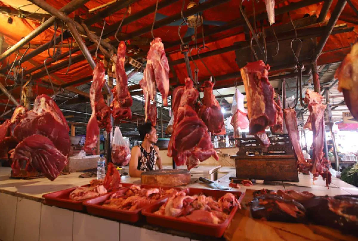 Jelang Ramadan Harga Daging Kerbau Melonjak, Bapanas Beberkan Pemicunya