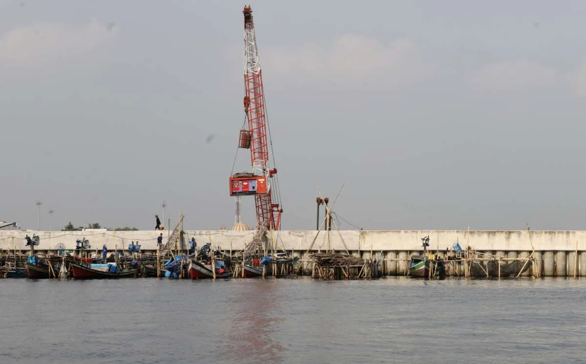 KKP Usulkan Tanggul Laut Raksasa Pakai Mangrove, Ini Alasannya!