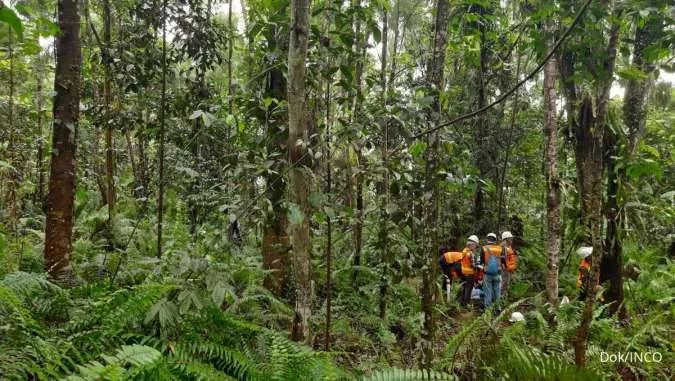 30 Ucapan Hari Hutan Indonesia, Peringati Pentingnya Jaga Hutan Indonesia
