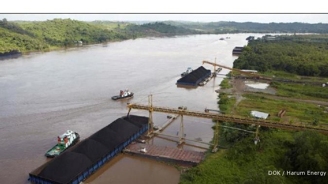 Harum terpukul harga batubara
