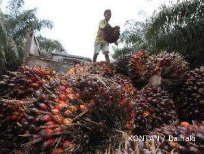 Dikabarkan ingin mengakuisisi lahan di Papua, saham AALI menanjak 