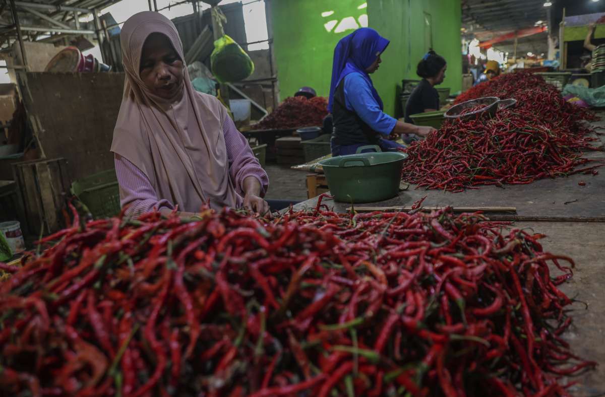 Inflasi Melandai, Harga Cabai Masih Membayangi