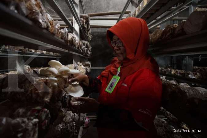 Desa Kemiren Asri binaan Pertamina berhasil ekspor jamur krispi ke Hongkong