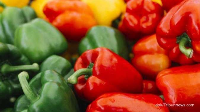 5 Manfaat Paprika untuk Kesehatan Tubuh yang Menarik Diketahui, Cek Yuk!