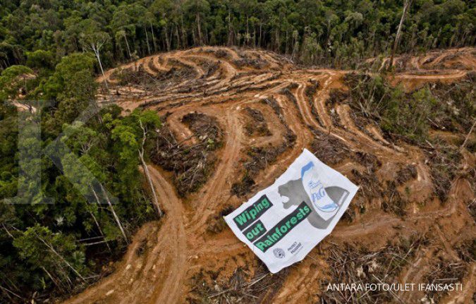 Greenpeace: Prabowo tak paham akar persoalan hutan