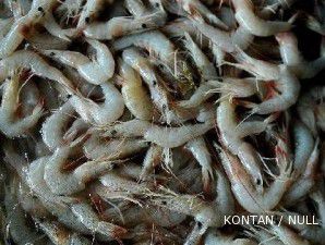 Produksi udang tahun ini diperkirakan naik sebesar 16% dari tahun lalu