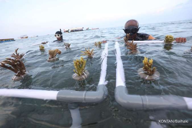 Konservasi Terumbu Karang di Banyuwangi Dorong Ekonomi Lokal dan Ekowisata