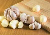 11 Obat Herbal agar Gula Darah Tinggi Turun secara Alami