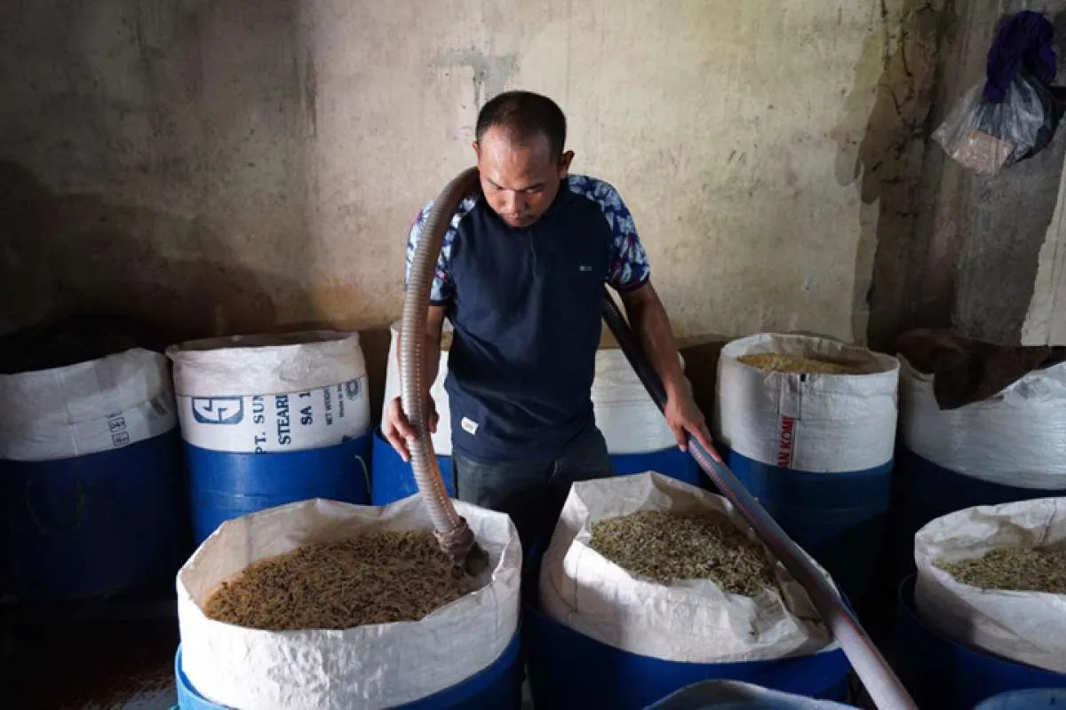 Ditopang sektor produktif, realisasi penyaluran KUR BNI capai Rp 23 triliun