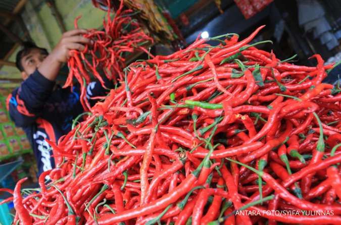 Harga Pangan di Aceh, Cabai Merah Keriting dan Bawang Merah Naik, Jumat (15/11/2024)