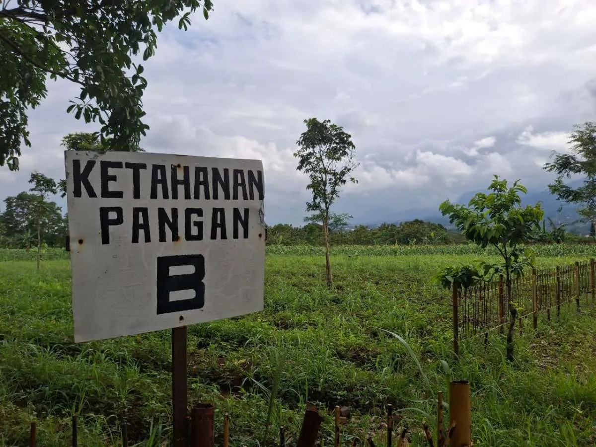 Anggaran Ketahanan Pangan Membengkak, Produktivitas Masih Rendah
