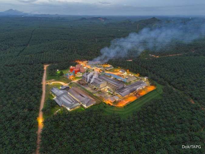 Penerimaan Negara dari Sawit Melonjak, Manfaat untuk Daerah Penghasil Masih Tersendat