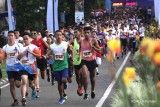 6 Tips Lari Maraton Pemula agar Aman dari Risiko Cedera & Kuat sampai Garis Finish