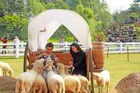 Masuk FTSE Global Shariah Index, Prospek CMRY dan HEAL Layak Dipertimbangkan 