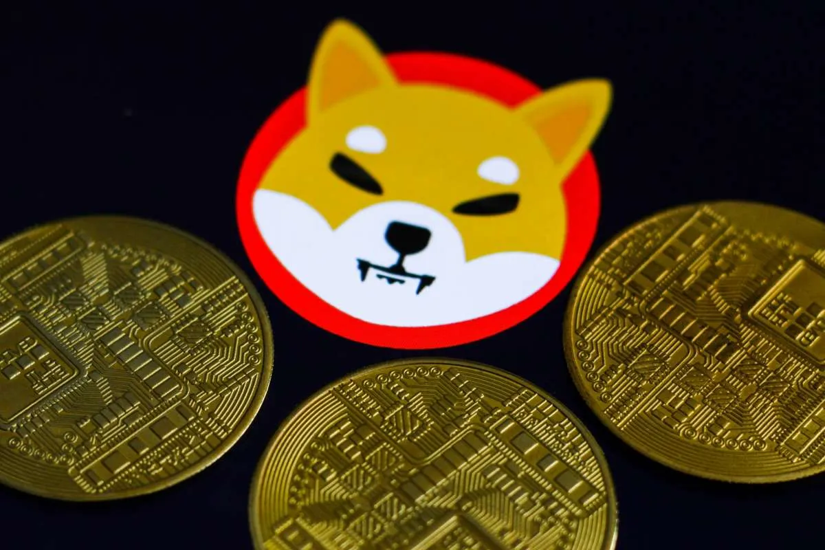 Harga melesat hingga 90%, mata uang kripto ini siap salip Shiba Inu