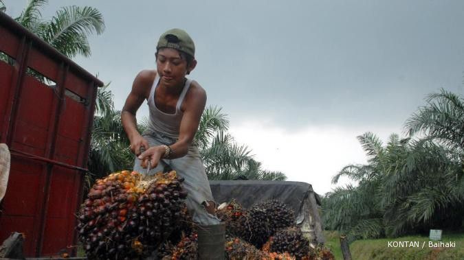 Pekan depan harga CPO naik